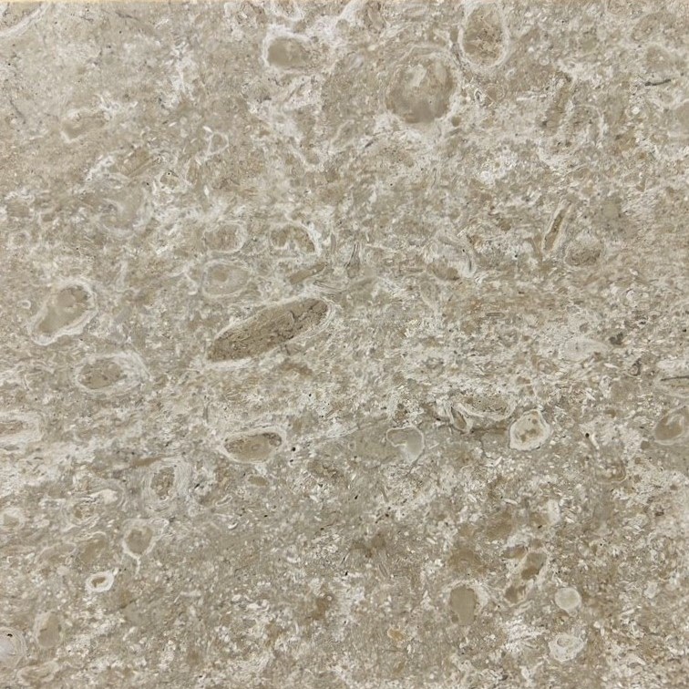 コーラルストーン